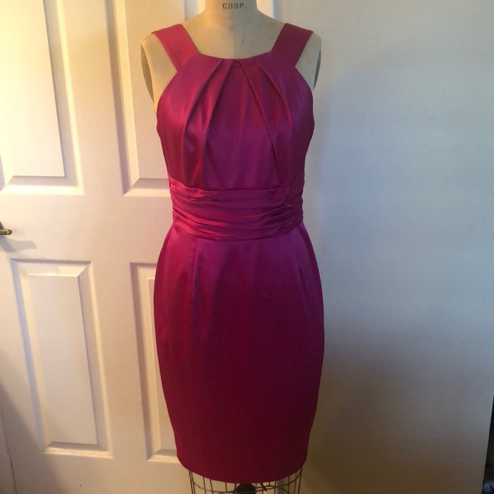 Elegant Satin Fuscia Dress NWT